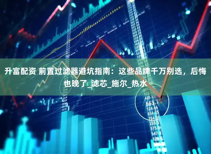 升富配资 前置过滤器避坑指南：这些品牌千万别选，后悔也晚了_滤芯_施尔_热水