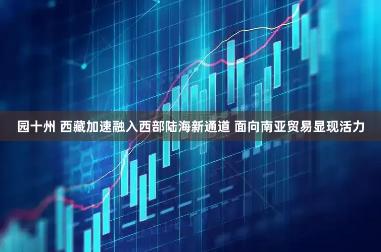 园十州 西藏加速融入西部陆海新通道 面向南亚贸易显现活力