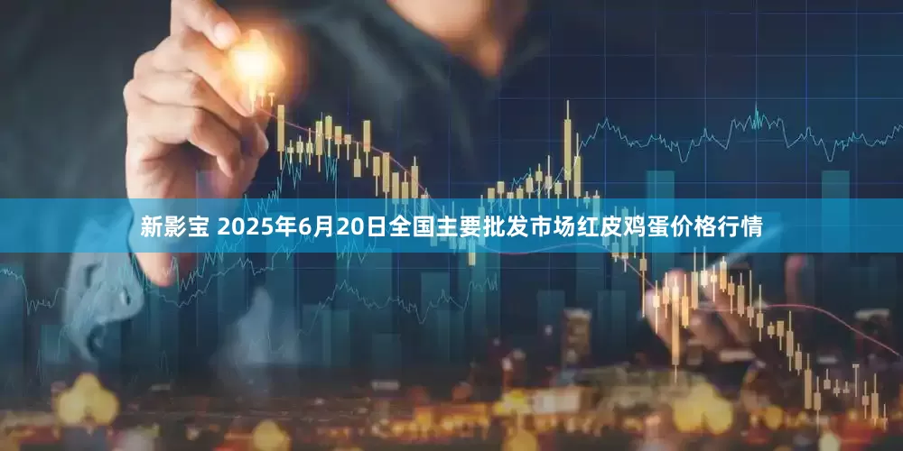 新影宝 2025年6月20日全国主要批发市场红皮鸡蛋价格行情