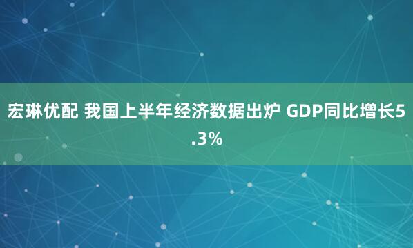 宏琳优配 我国上半年经济数据出炉 GDP同比增长5.3%