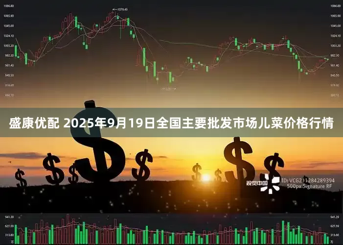 盛康优配 2025年9月19日全国主要批发市场儿菜价格行情