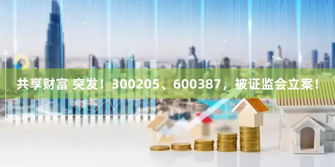 共享财富 突发！300205、600387，被证监会立案！